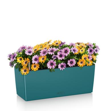 BALCONERA Color 50 petrol blue